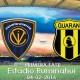 IDV vs guarani