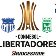 Libertadores Grupos 1