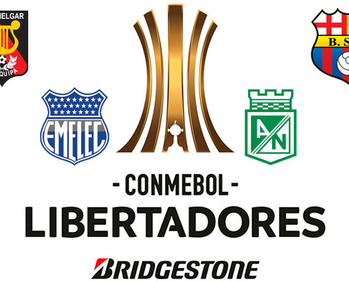 Libertadores Grupos 1