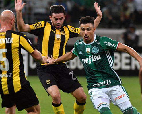 libertadores grupos