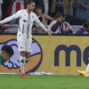 ldu palmeiras